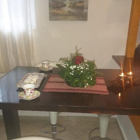 Apartman NV Daire Vrnjačka Banja Dış mekan fotoğraf