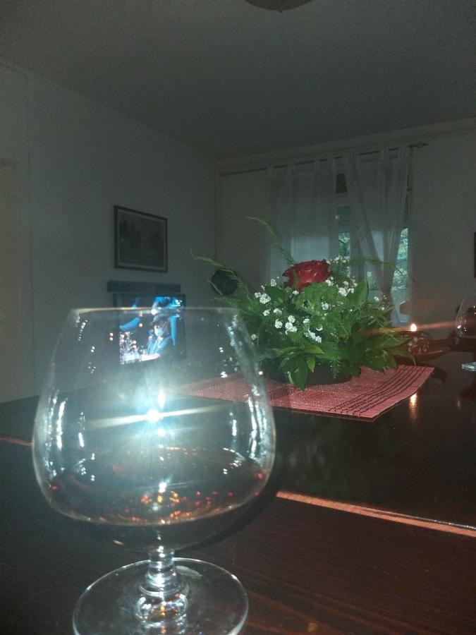 Apartman NV Daire Vrnjačka Banja Dış mekan fotoğraf