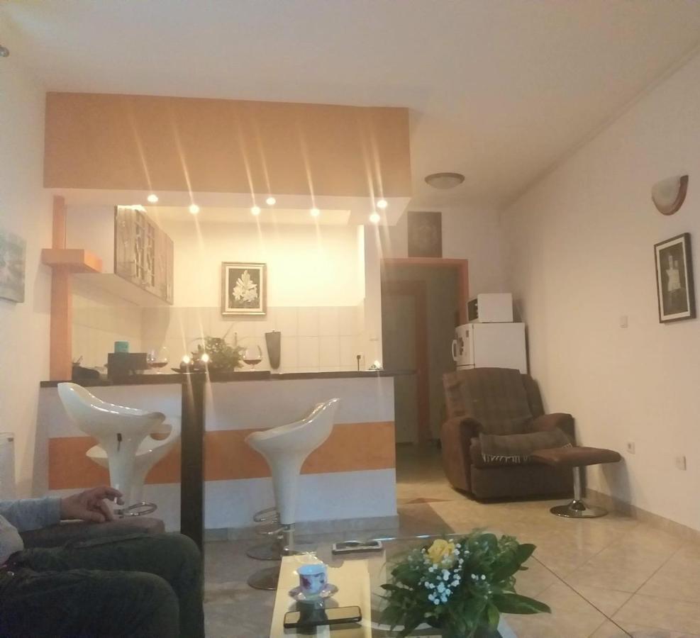 Apartman NV Daire Vrnjačka Banja Dış mekan fotoğraf