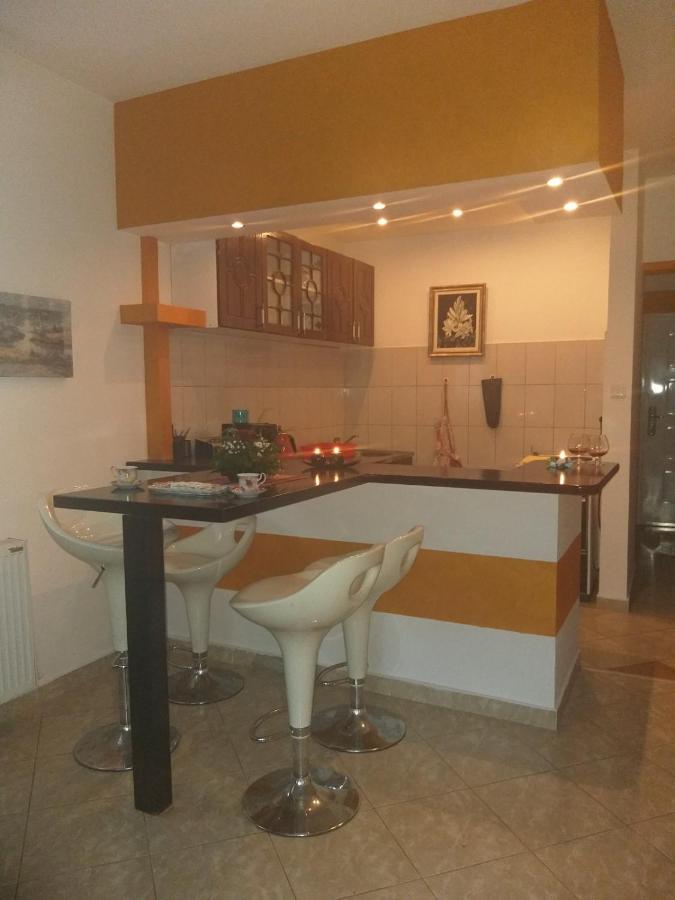 Apartman NV Daire Vrnjačka Banja Dış mekan fotoğraf