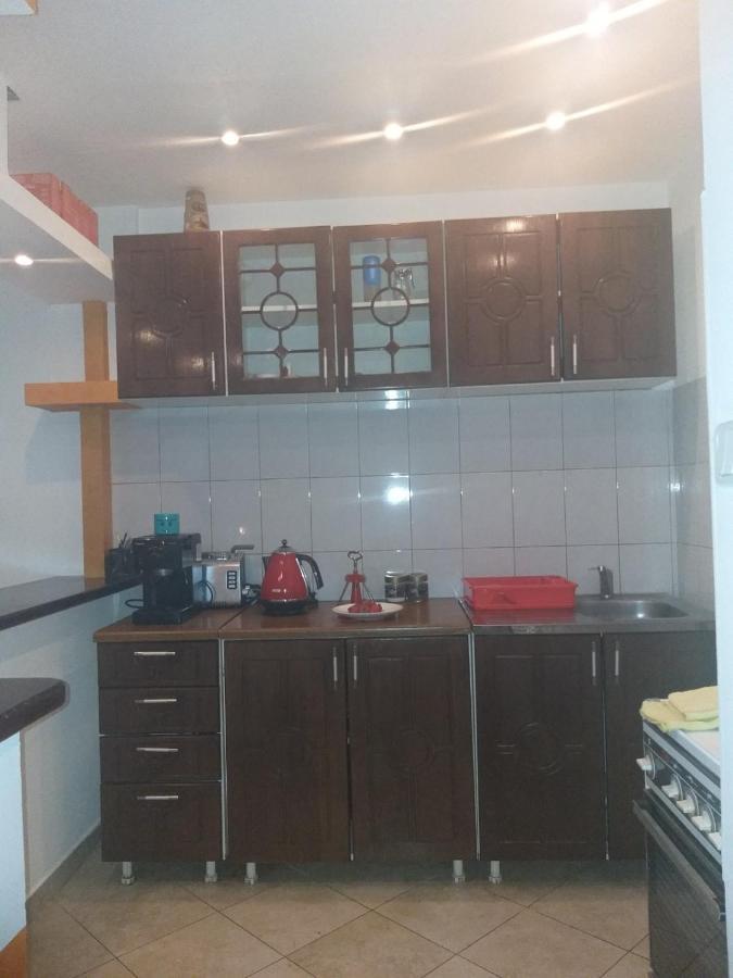 Apartman NV Daire Vrnjačka Banja Dış mekan fotoğraf