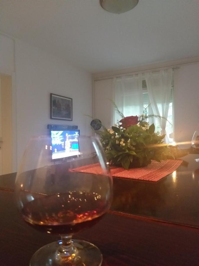 Apartman NV Daire Vrnjačka Banja Dış mekan fotoğraf