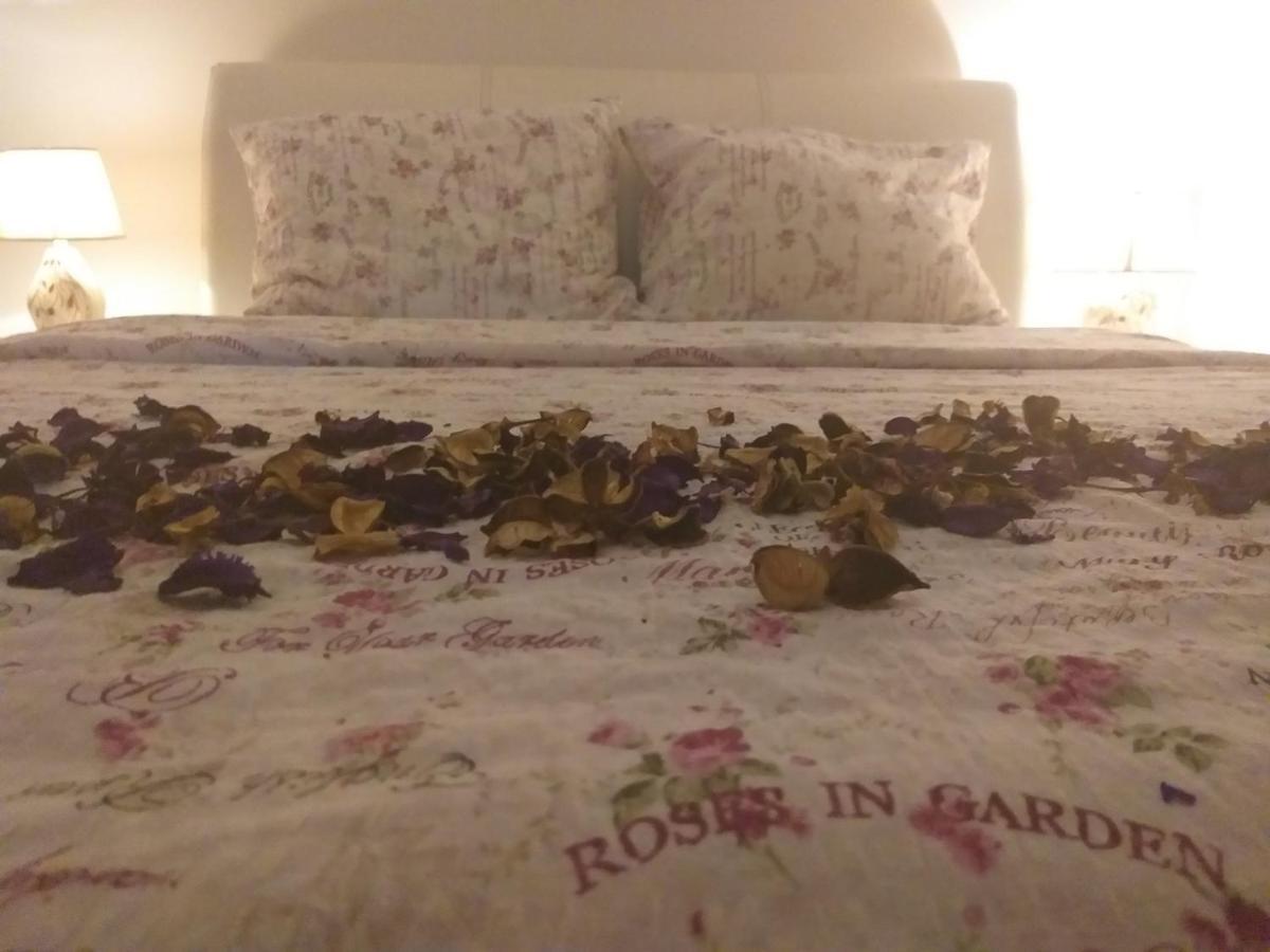 Apartman NV Daire Vrnjačka Banja Dış mekan fotoğraf