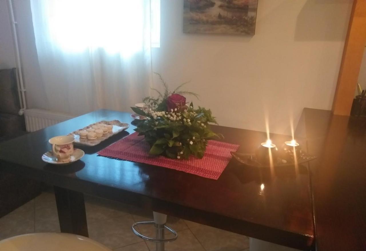 Apartman NV Daire Vrnjačka Banja Dış mekan fotoğraf