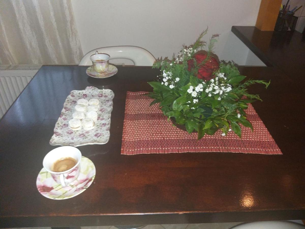 Apartman NV Daire Vrnjačka Banja Dış mekan fotoğraf