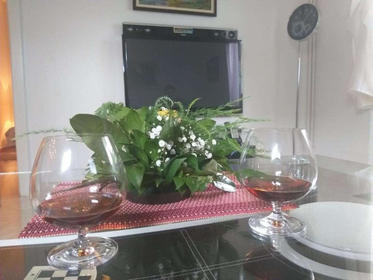 Apartman NV Daire Vrnjačka Banja Dış mekan fotoğraf