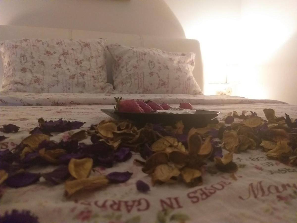 Apartman NV Daire Vrnjačka Banja Dış mekan fotoğraf