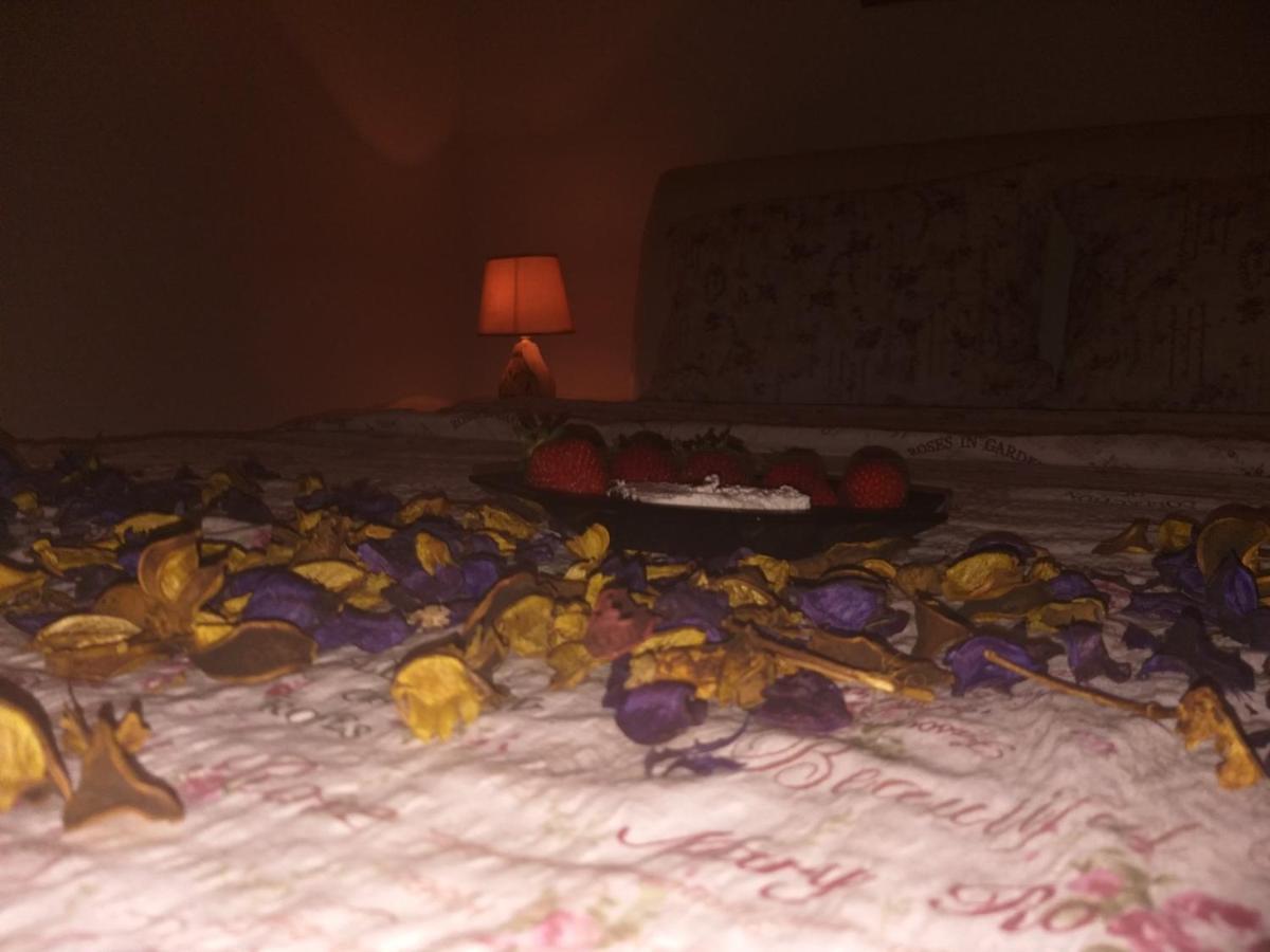 Apartman NV Daire Vrnjačka Banja Dış mekan fotoğraf